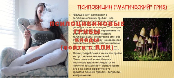 марихуана Заводоуковск