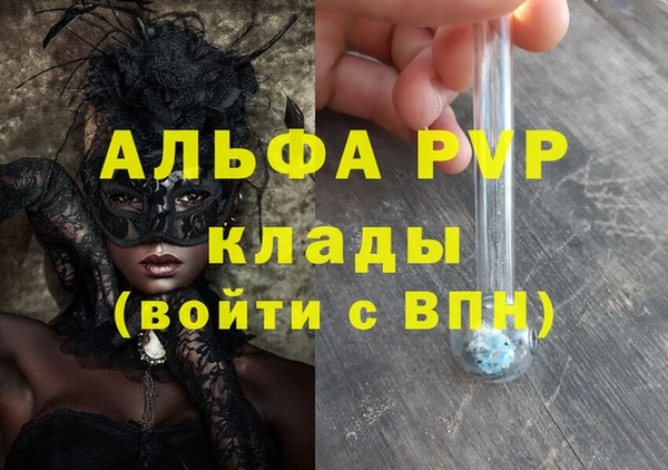 прущие грибы Болотное