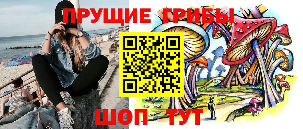 Галлюциногенные грибы Psilocybine cubensis  Калач-на-Дону  Галлюциногенные грибы Psilocybine cubensis 