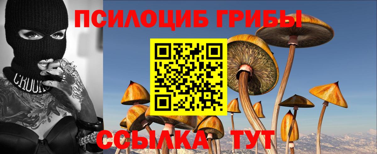 Галлюциногенные грибы прущие грибы  Галлюциногенные грибы MAGIC MUSHROOMS  Вход с VPN  Калач-на-Дону 