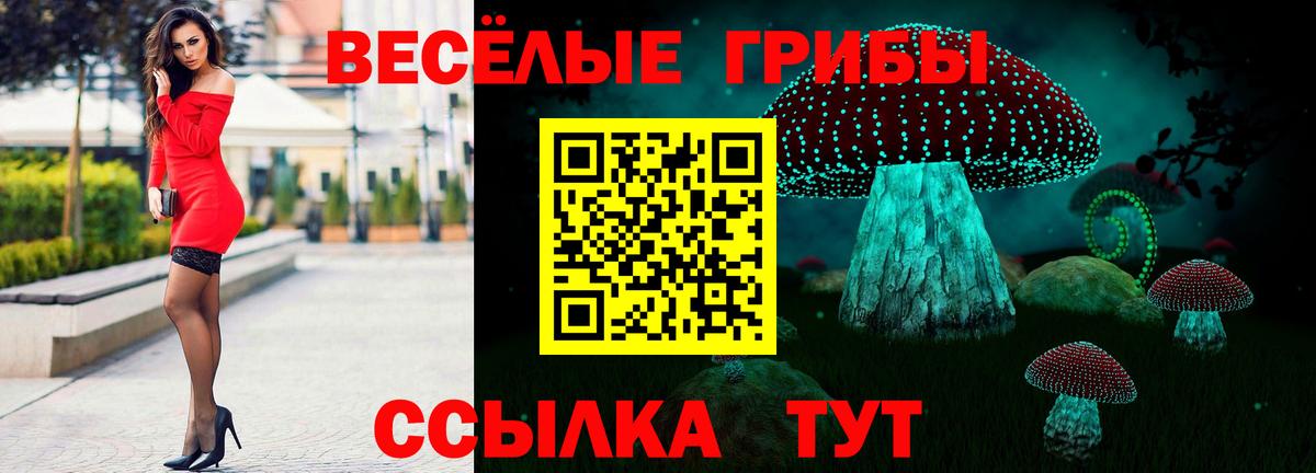 Псилоцибиновые грибы Cubensis Калач-на-Дону